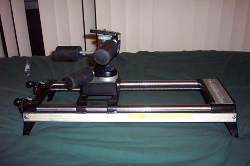 dolly